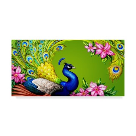 Trademark Fine Art Maria Rytova 'Gorgeous Peacock' Canvas Art, 12x24 ALI31218-C1224GG